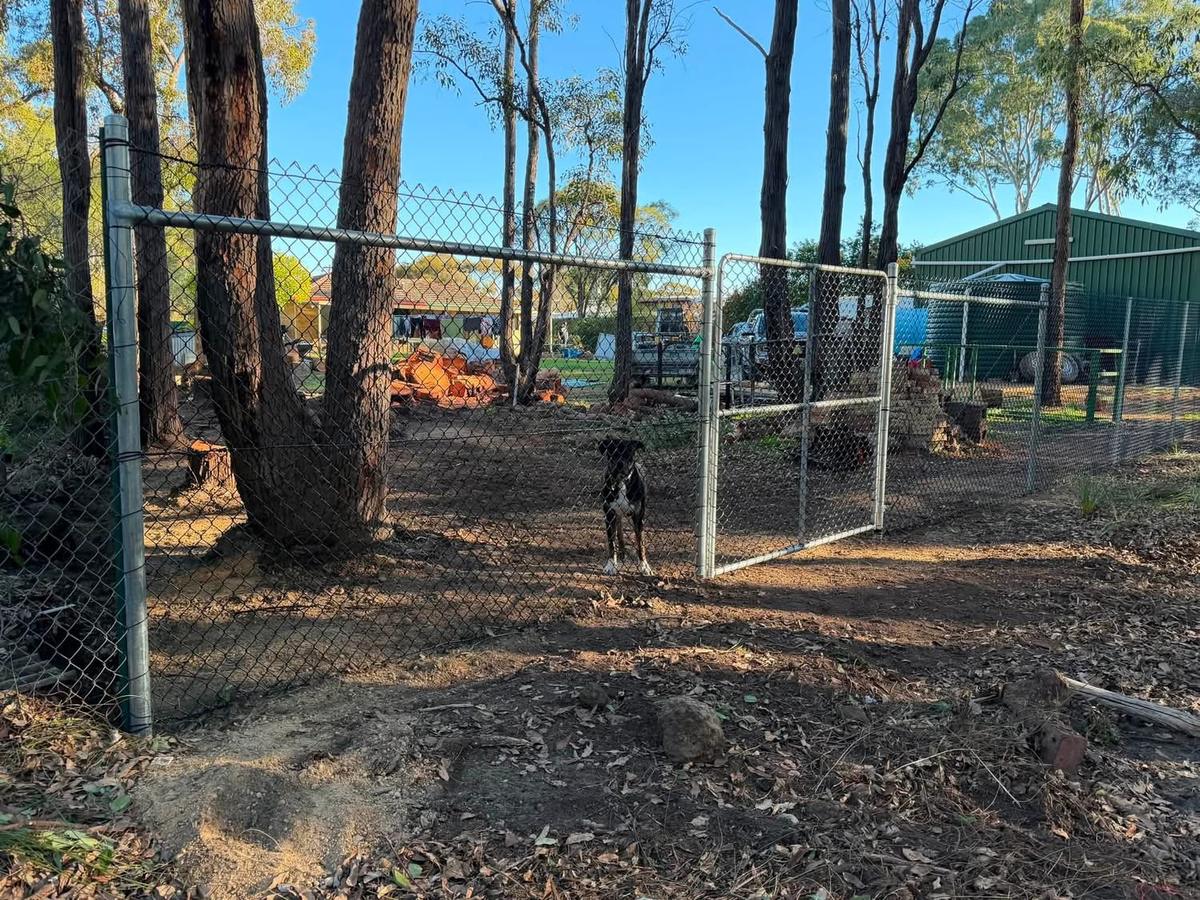 Galvanised chainmesh fence and gate