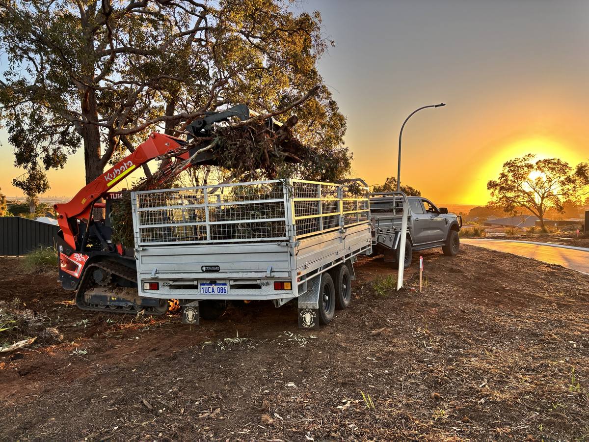 Track loader clearing trees and loading a trailer at sunset